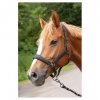 Kantar + uwiąz Denici Cavalli Shadow - Harry's Horse - black/sand